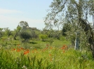 Basilicata på våren