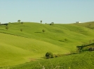 Basilicata på våren