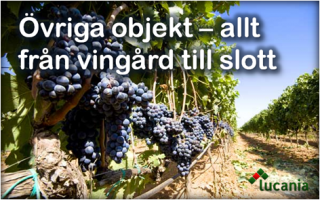 Övriga objekt